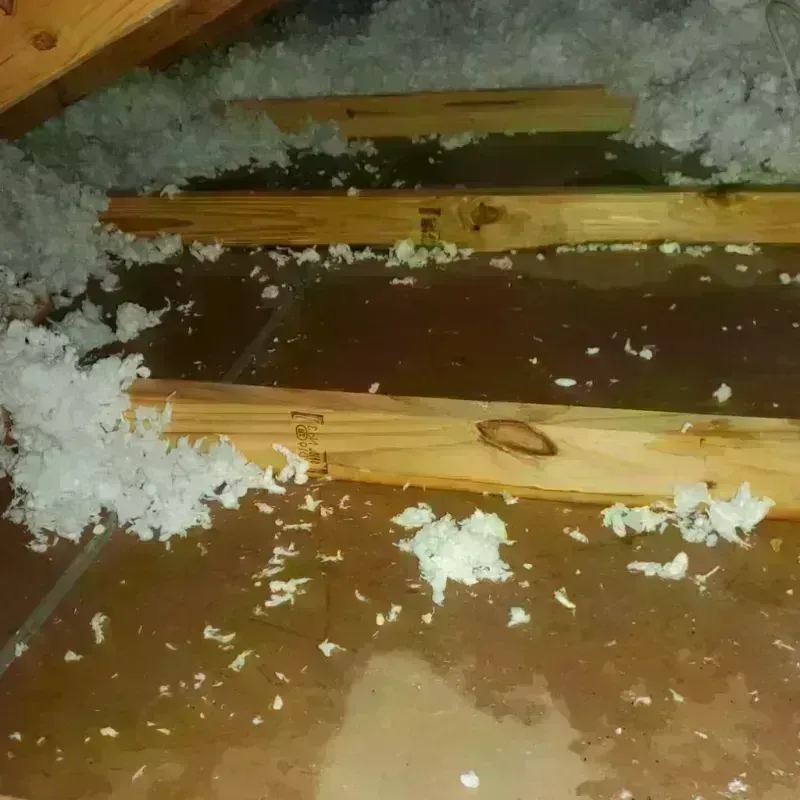 Attic Water Damage in Ottumwa, IA