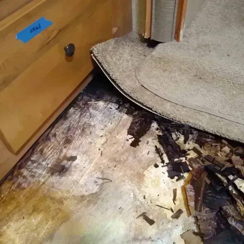 Best Wood Floor Water Damage Service in Ottumwa, IA